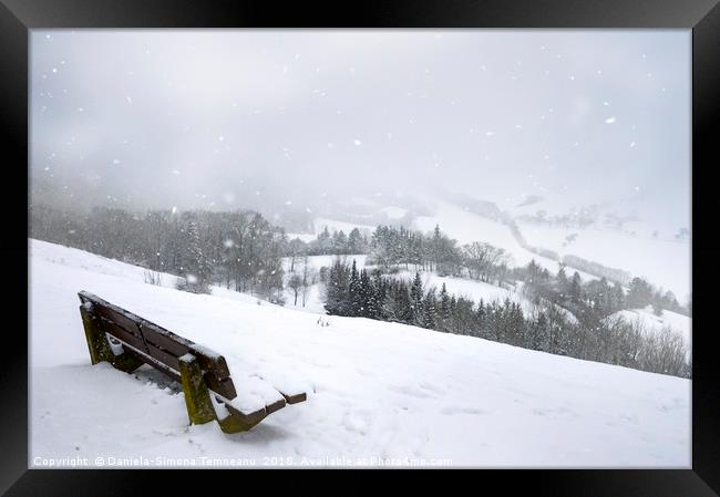 Wooden bench on a hill and snowfall Framed Print by Daniela Simona Temneanu