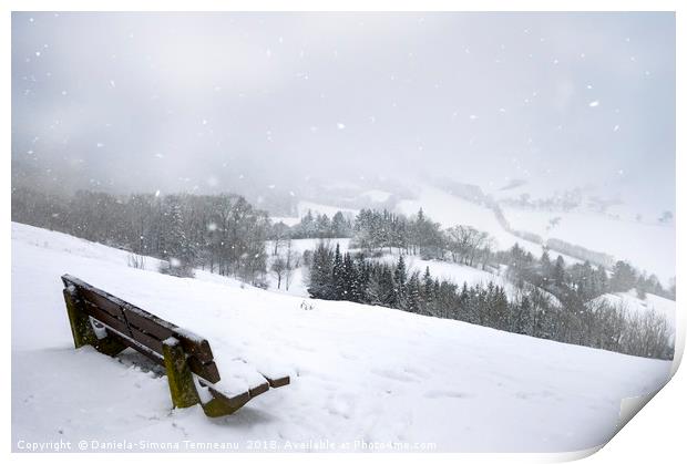 Wooden bench on a hill and snowfall Print by Daniela Simona Temneanu