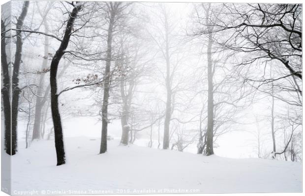 Blizzard through a snowy forest Canvas Print by Daniela Simona Temneanu