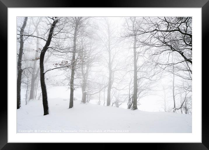 Blizzard through a snowy forest Framed Mounted Print by Daniela Simona Temneanu
