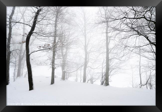 Blizzard through a snowy forest Framed Print by Daniela Simona Temneanu