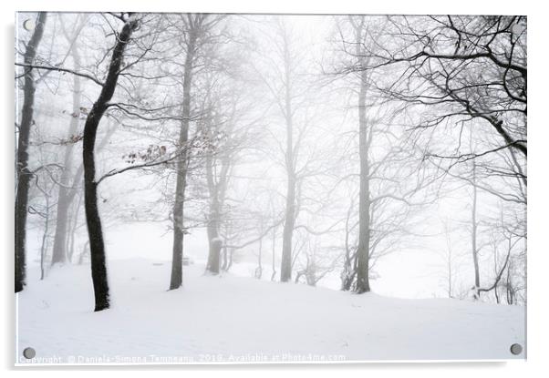 Blizzard through a snowy forest Acrylic by Daniela Simona Temneanu