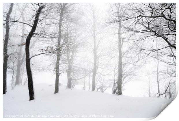 Blizzard through a snowy forest Print by Daniela Simona Temneanu