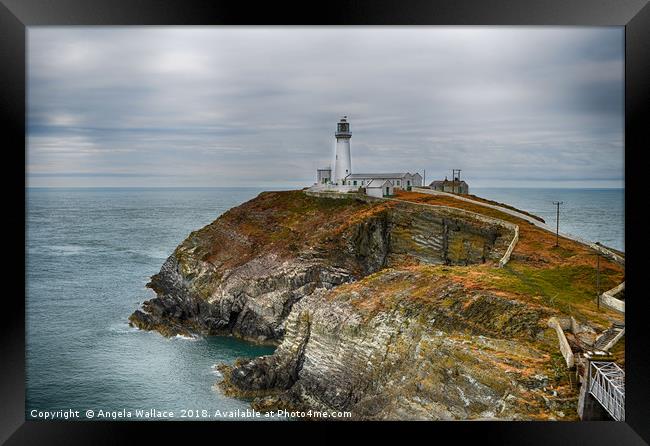 South Stack cliffs and lighthouse Framed Print by Angela Wallace