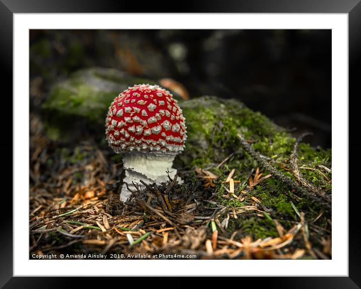 Enchanted Red and White Forest Framed Mounted Print by AMANDA AINSLEY