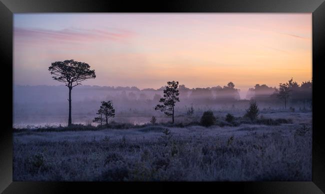 Morning mist Framed Print by Dave Wragg