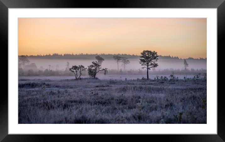 Frost and fog Framed Mounted Print by Dave Wragg