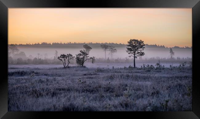 Frost and fog Framed Print by Dave Wragg