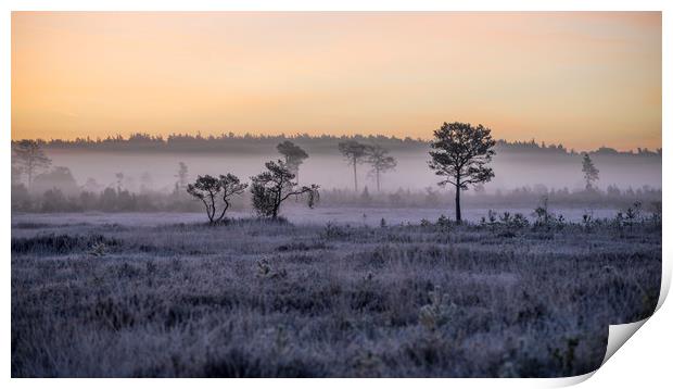 Frost and fog Print by Dave Wragg