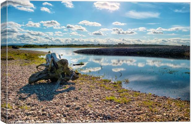 Cloud reflections at Spey Bay Canvas Print by Rosaline Napier