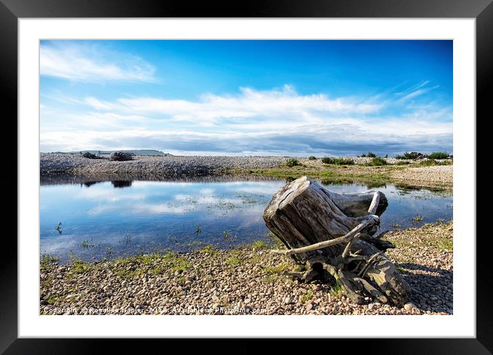 Spey Bay Driftwood Framed Mounted Print by Rosaline Napier