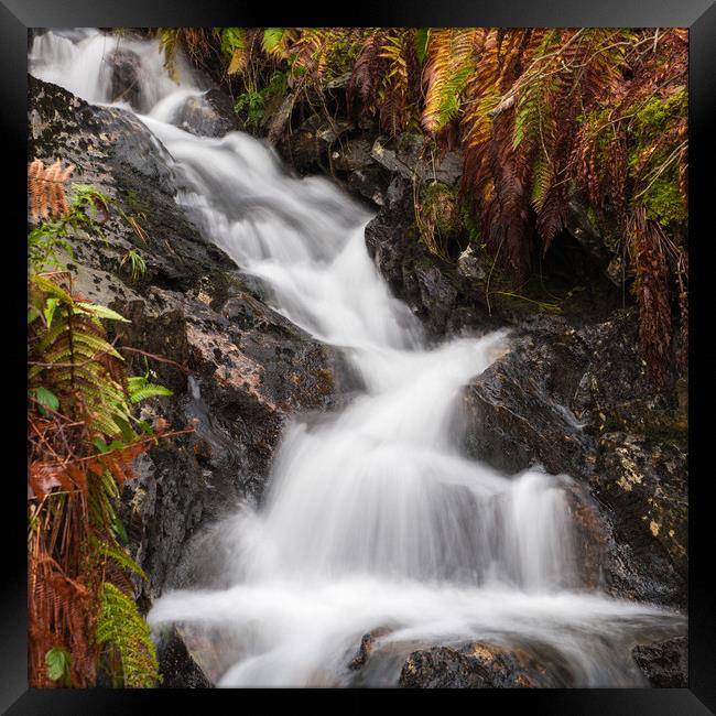 Flowing Stream in Autumn Framed Print by George Robertson