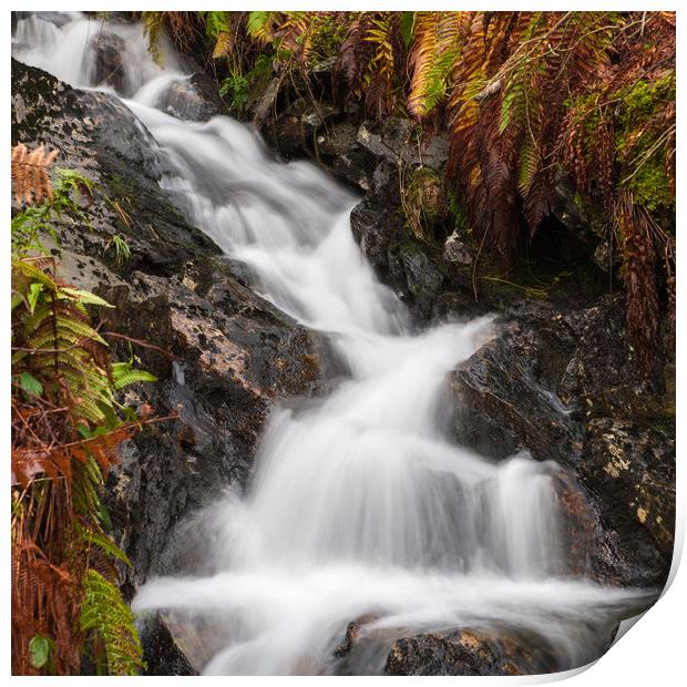 Flowing Stream in Autumn Print by George Robertson