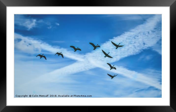Scotland's Skyward Salute Framed Mounted Print by Colin Metcalf