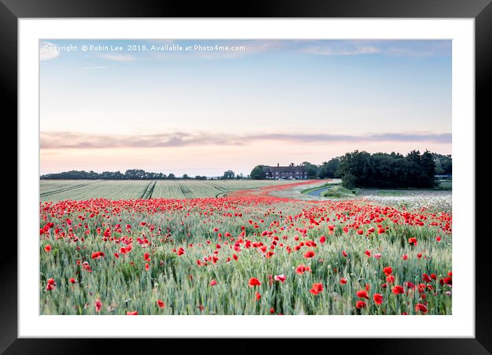 River of Poppies Framed Mounted Print by Robin Lee