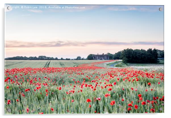 River of Poppies Acrylic by Robin Lee