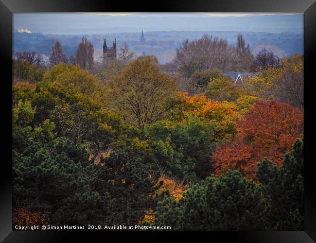 An Autumn Landscape Framed Print by Simon Martinez