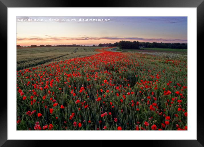 A field of poppy's          Framed Mounted Print by Alan Glicksman