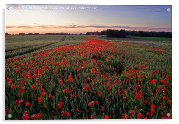 A field of poppy's          Acrylic by Alan Glicksman
