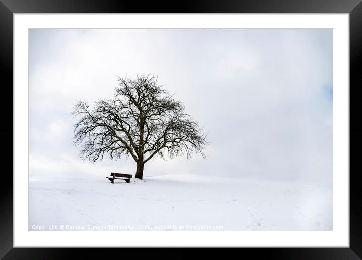 Big leafless tree on a snowy hilltop Framed Mounted Print by Daniela Simona Temneanu