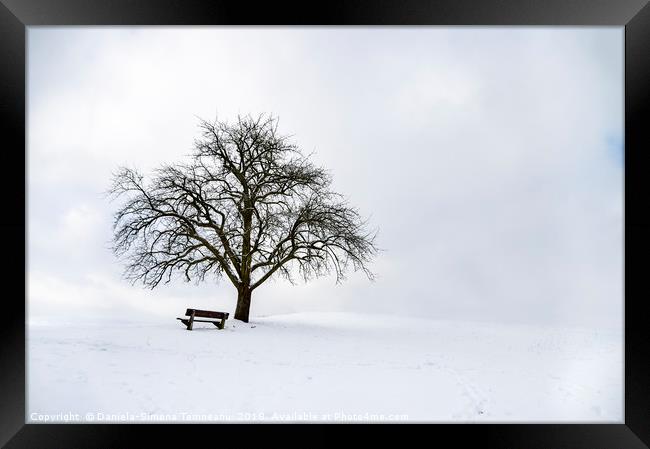 Big leafless tree on a snowy hilltop Framed Print by Daniela Simona Temneanu