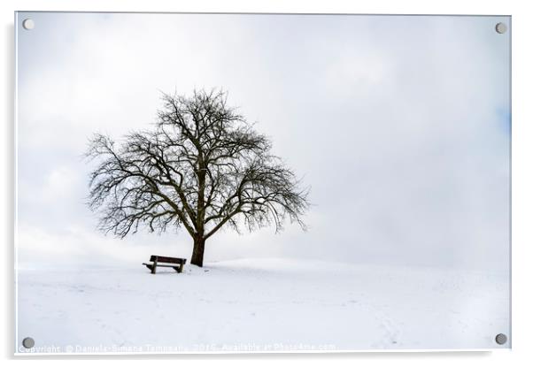 Big leafless tree on a snowy hilltop Acrylic by Daniela Simona Temneanu