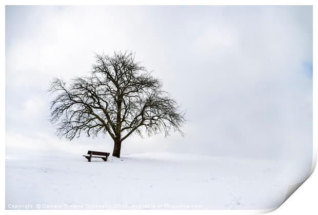 Big leafless tree on a snowy hilltop Print by Daniela Simona Temneanu