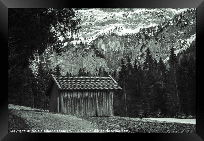 Monochrome alpine scenery Framed Print by Daniela Simona Temneanu