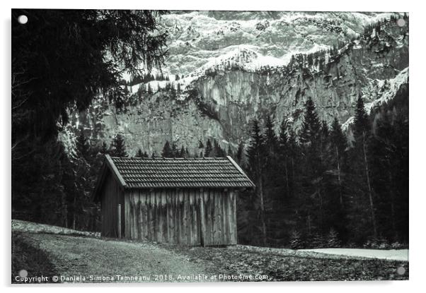 Monochrome alpine scenery Acrylic by Daniela Simona Temneanu