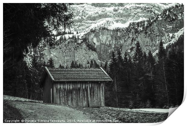 Monochrome alpine scenery Print by Daniela Simona Temneanu