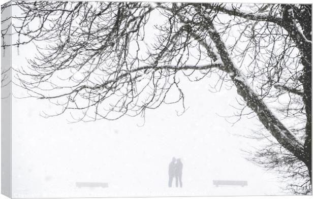 People silhouette while a snow blizzard Canvas Print by Daniela Simona Temneanu