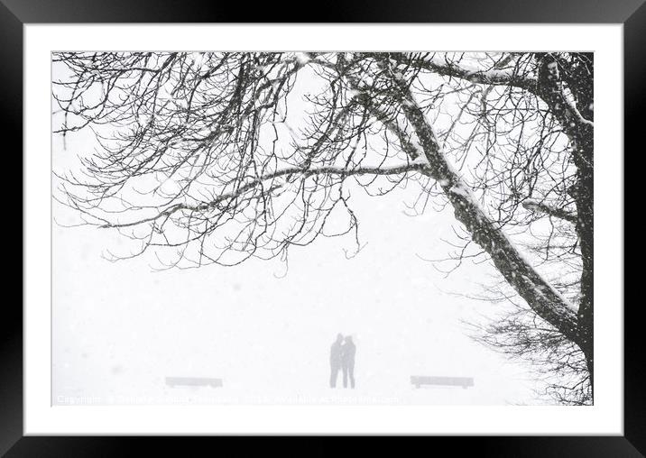 People silhouette while a snow blizzard Framed Mounted Print by Daniela Simona Temneanu