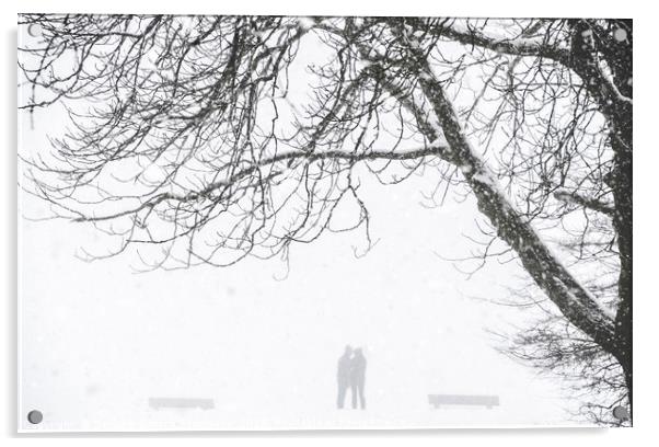 People silhouette while a snow blizzard Acrylic by Daniela Simona Temneanu