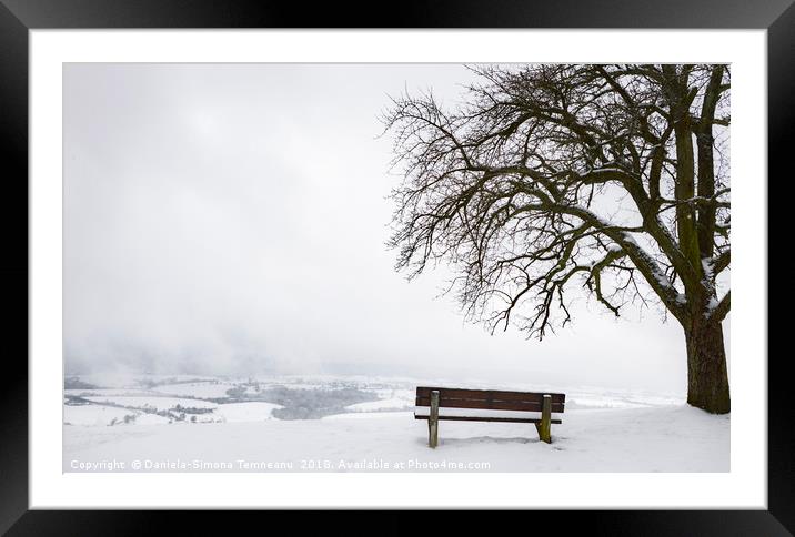 Wooden bench and tree on a snowy hilltop Framed Mounted Print by Daniela Simona Temneanu