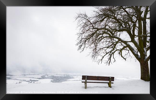 Wooden bench and tree on a snowy hilltop Framed Print by Daniela Simona Temneanu