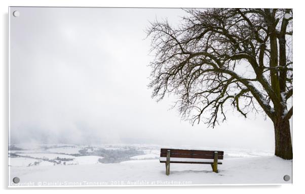 Wooden bench and tree on a snowy hilltop Acrylic by Daniela Simona Temneanu