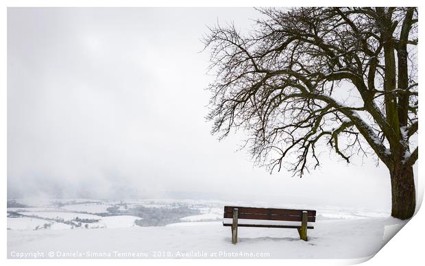 Wooden bench and tree on a snowy hilltop Print by Daniela Simona Temneanu