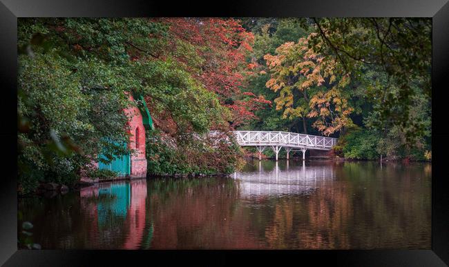 The White Bridge, Hartsholme Country Park, Lincoln Framed Print by Andrew Scott