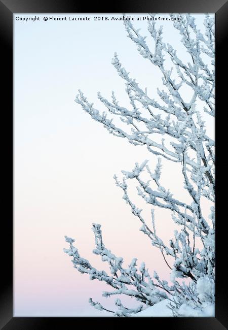 Branches covered in snow with pastel colored sky Framed Print by Florent Lacroute