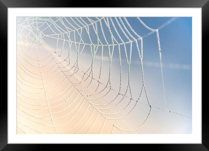 Spiders Web Framed Mounted Print by John Finney