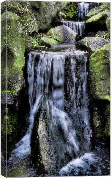 little waterfall Canvas Print by Heather Newton