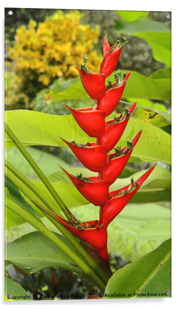 An Exotic Heliconia Acrylic by Carole-Anne Fooks