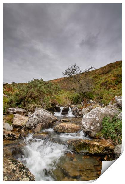 The River Lyd, Dartmoor Print by Images of Devon