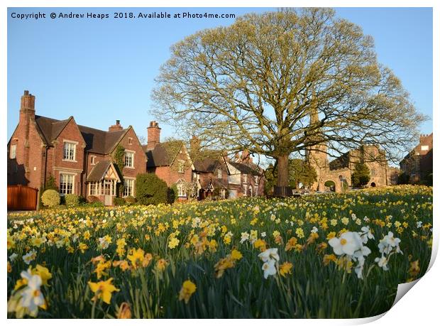 Astbury Church on a spring day   Print by Andrew Heaps