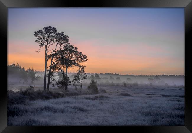Frosty dawn Framed Print by Dave Wragg