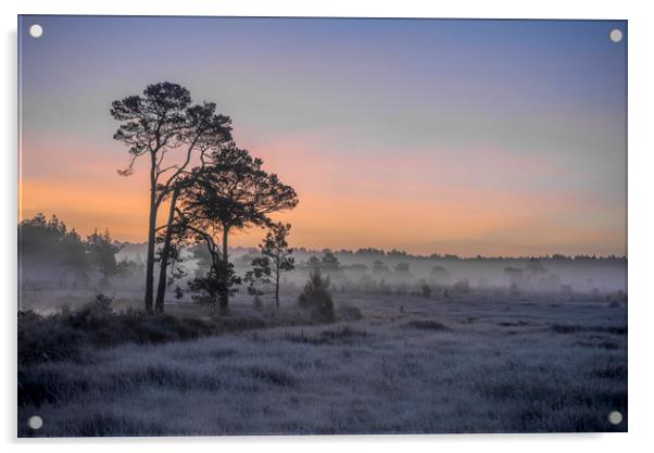 Frosty dawn Acrylic by Dave Wragg
