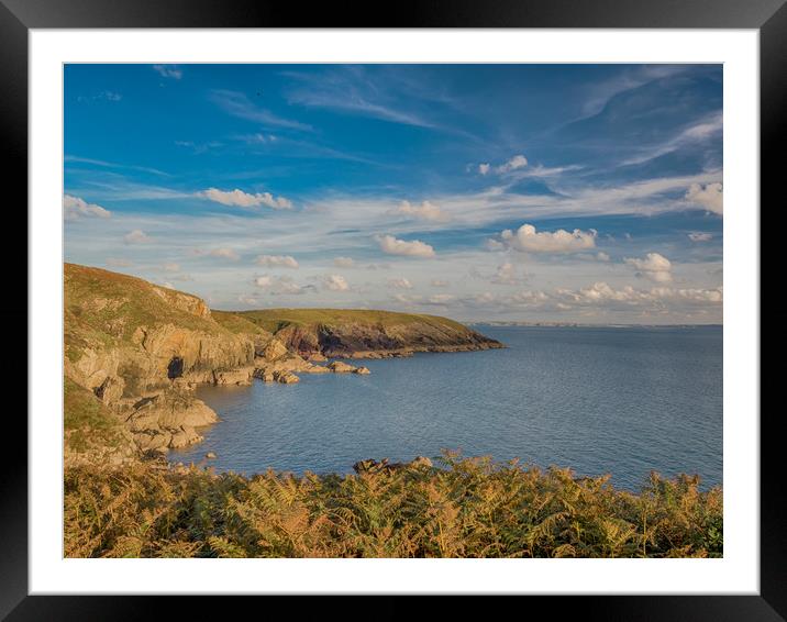 St Non's Bay, Pembrokeshire. Framed Mounted Print by Colin Allen