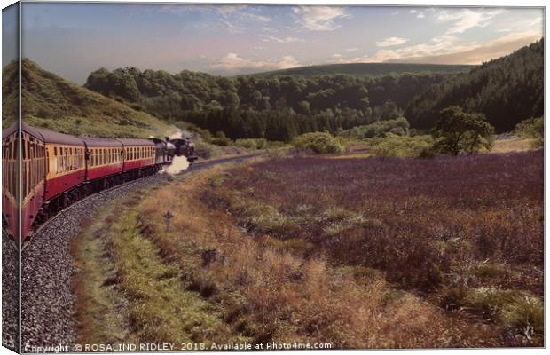 "Steaming across the Moors" Canvas Print by ROS RIDLEY