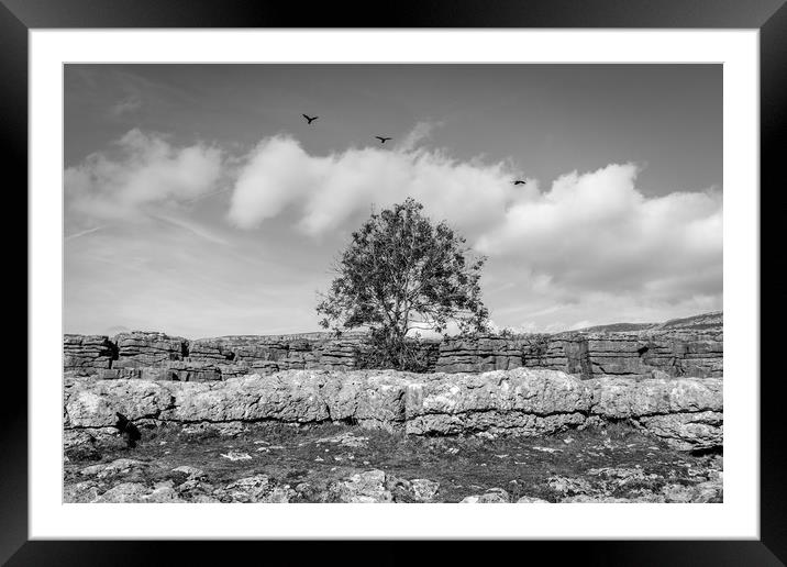 Malham Cove Framed Mounted Print by Charles Little