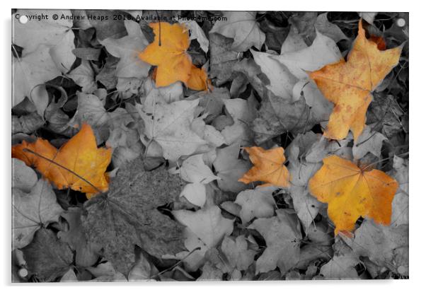 Crispy Autumn Symphony Acrylic by Andrew Heaps